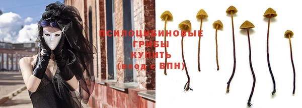 дмт Новокубанск