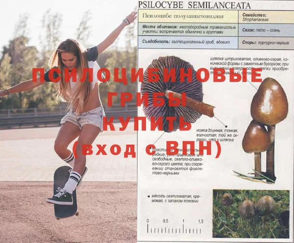 дистиллят марихуана Арсеньев