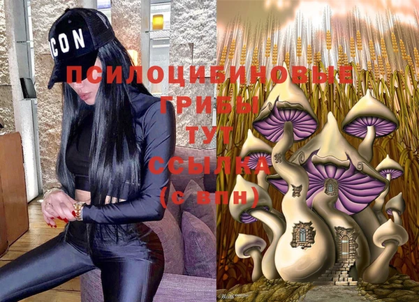 мяу мяу мука Новодвинск