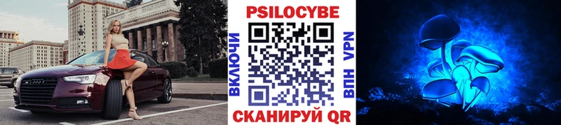 ссылка на мегу вход  даркнет сайт  Приозерск  Псилоцибиновые грибы Psilocybine cubensis 